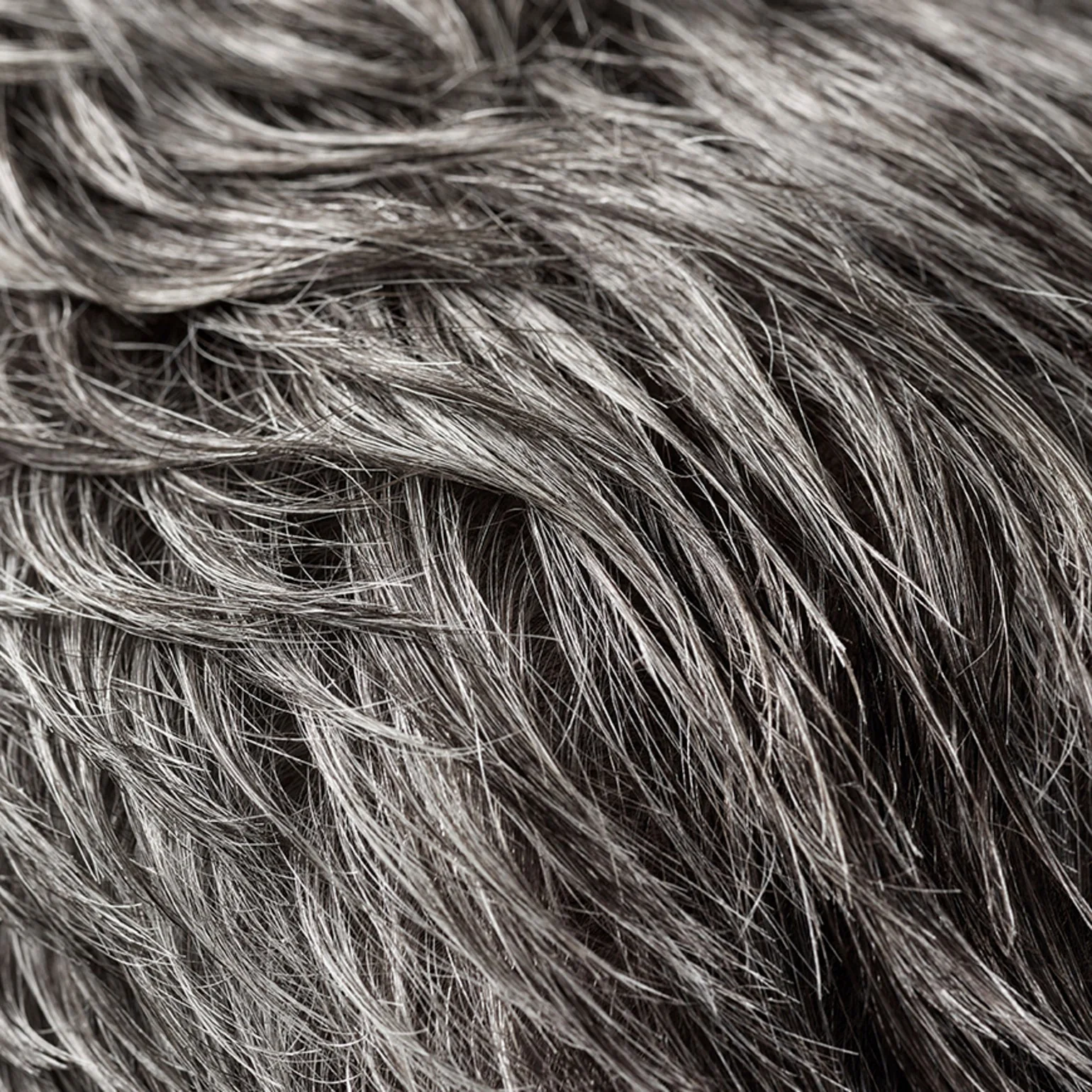 Rough Luxury Soft Molding Paste - Image 8